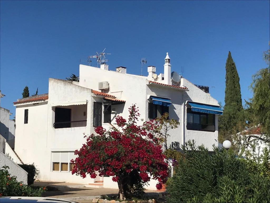 T0 Pedras D'El Rei Leilighet Tavira Rom bilde